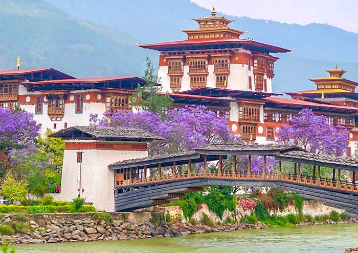 Punakha Dzong - Architectural Marvel